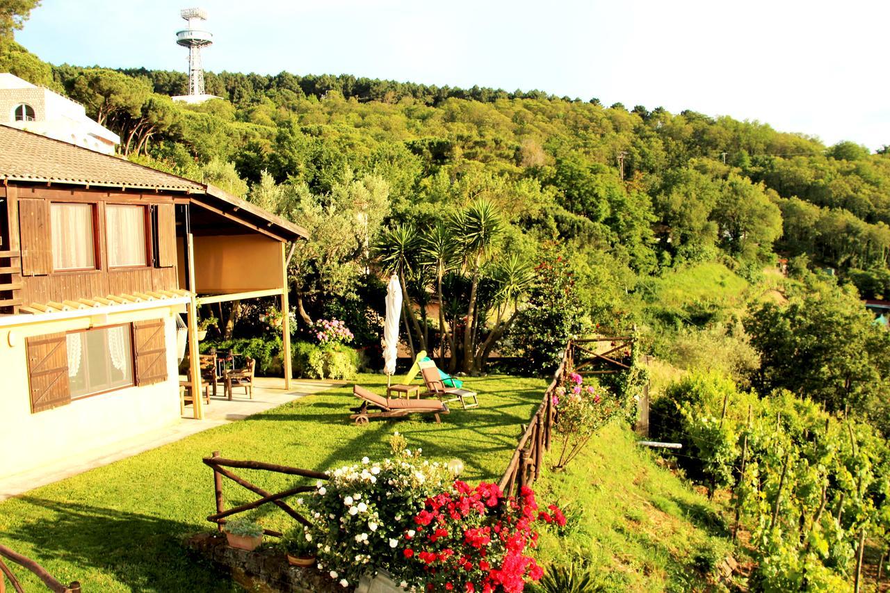 Chalet Annie Vila Sorrento Exterior foto